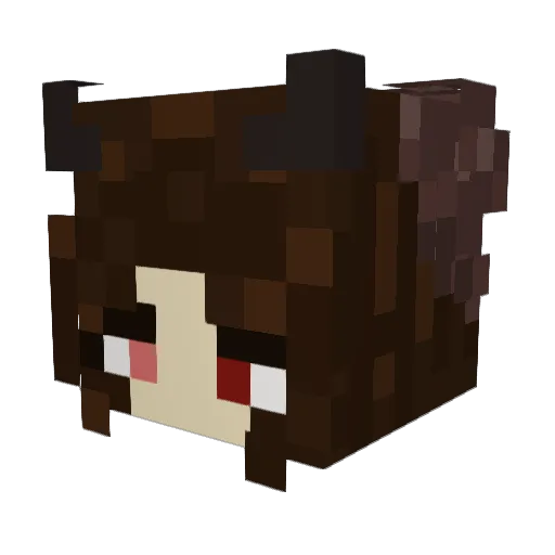 BoxerBeeNova Minecraft avatar head, 3D render