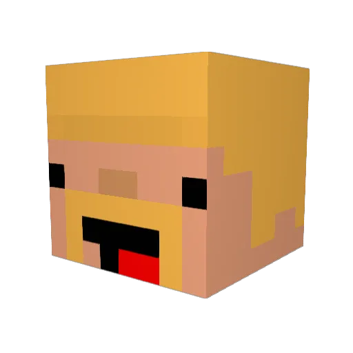 Boxerboy49 Minecraft avatar head, 3D render