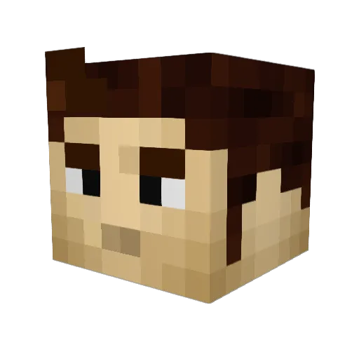 Boxguy1234 Minecraft avatar head, 3D render