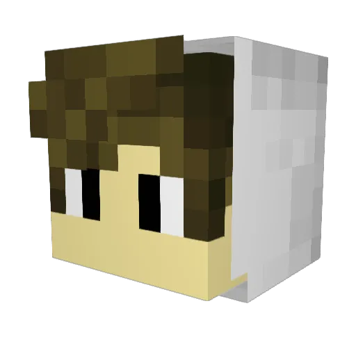 Boxi99 Minecraft avatar head, 3D render