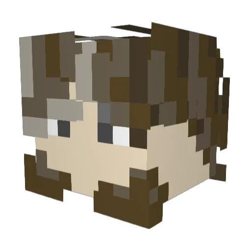 BoxofSoap Minecraft avatar head, 3D render