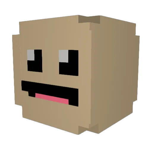 Boxsy8956 Minecraft avatar head, 3D render