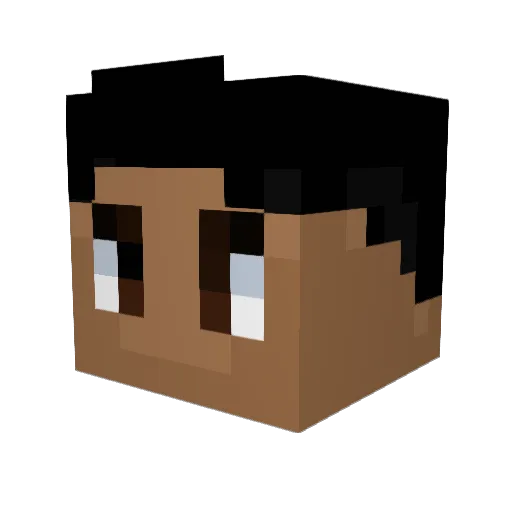 Boxxnturtle Minecraft avatar head, 3D render