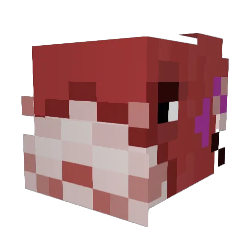 BoxxoFish Minecraft avatar head, 3D render