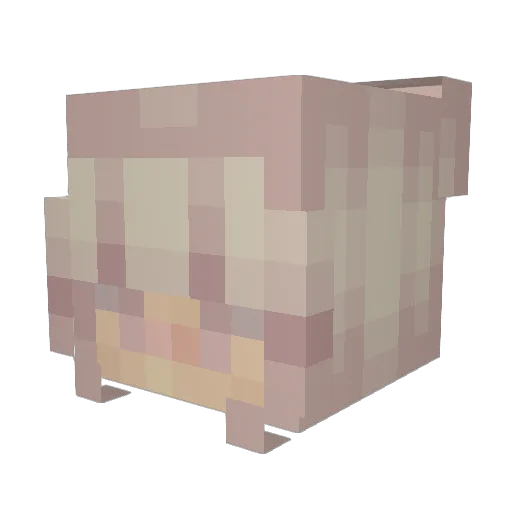BoxyEllie Minecraft avatar head, 3D render