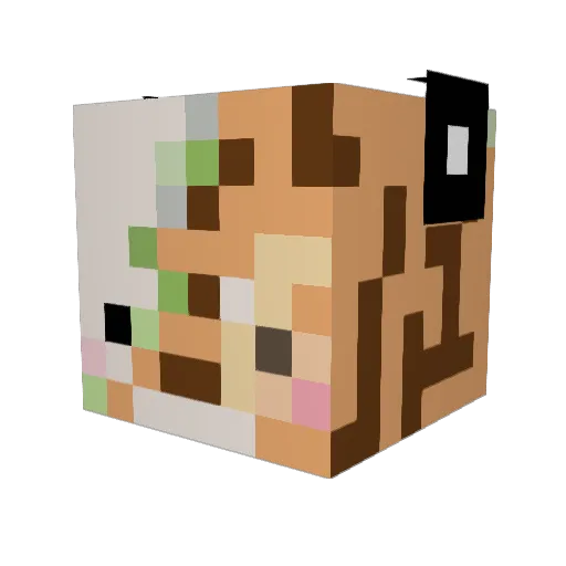 BoxyTigers Minecraft avatar head, 3D render