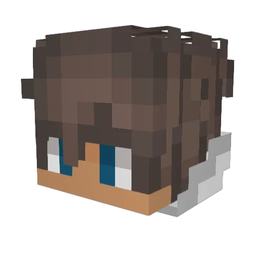 Boy4Life Minecraft avatar head, 3D render