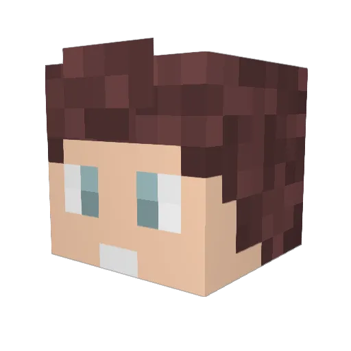 BoyBoy8810 Minecraft avatar head, 3D render