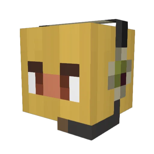 BoyDab Minecraft avatar head, 3D render