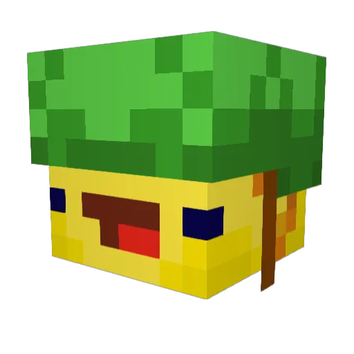 BoyItsDone Minecraft avatar head, 3D render