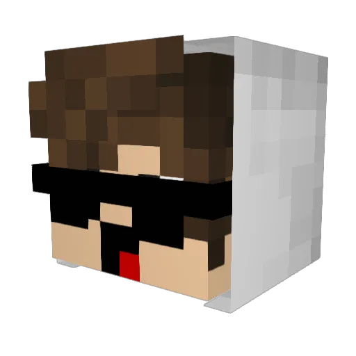 BoyKingNL Minecraft avatar head, 3D render