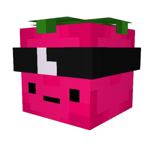 BoySponge Minecraft avatar head, 3D render
