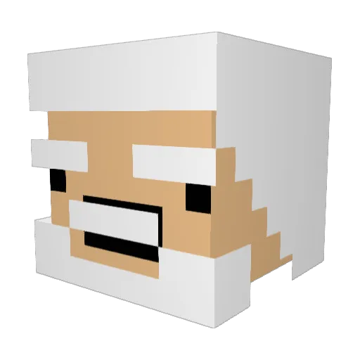 BoyWonder500 Minecraft avatar head, 3D render