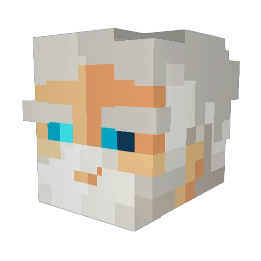 Boy_child Minecraft avatar head, 3D render