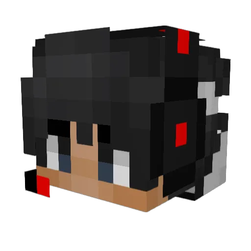 Boyd205 Minecraft avatar head, 3D render