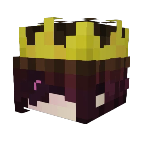 BoydBoydBoydBoi Minecraft avatar head, 3D render