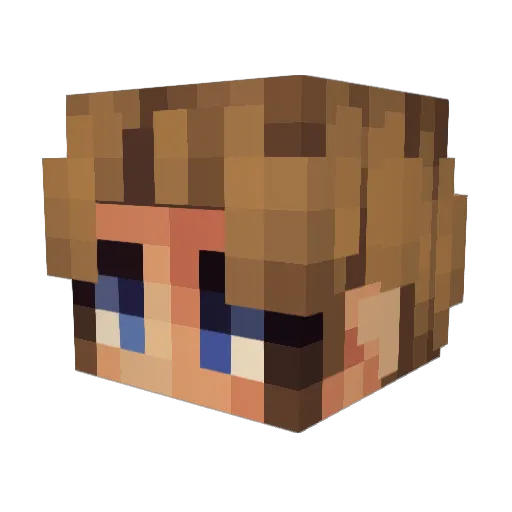 Boyhola_ Minecraft avatar head, 3D render