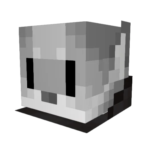 BoyhuskyFilms Minecraft avatar head, 3D render