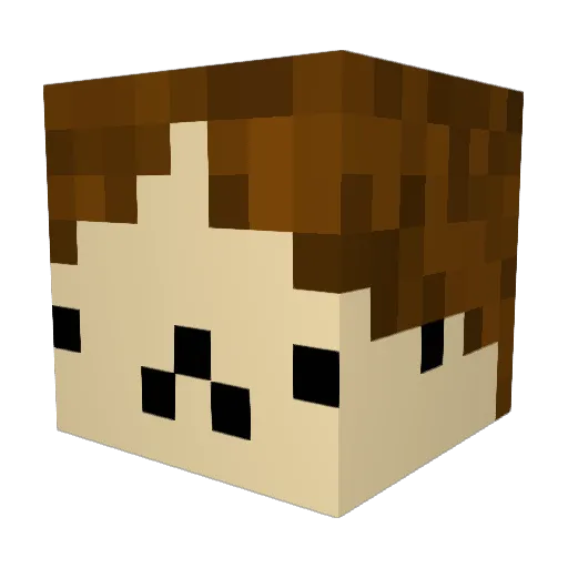 Boykin2838 Minecraft avatar head, 3D render