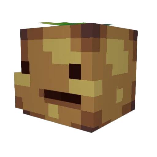 Boyloytt Minecraft avatar head, 3D render