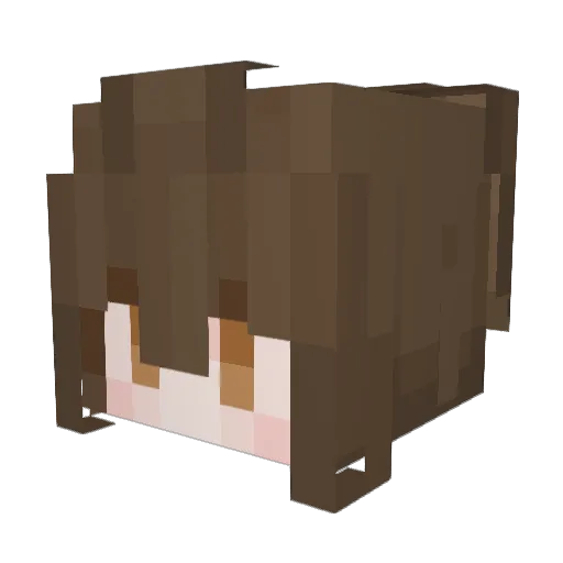 Boymoder_ Minecraft avatar head, 3D render