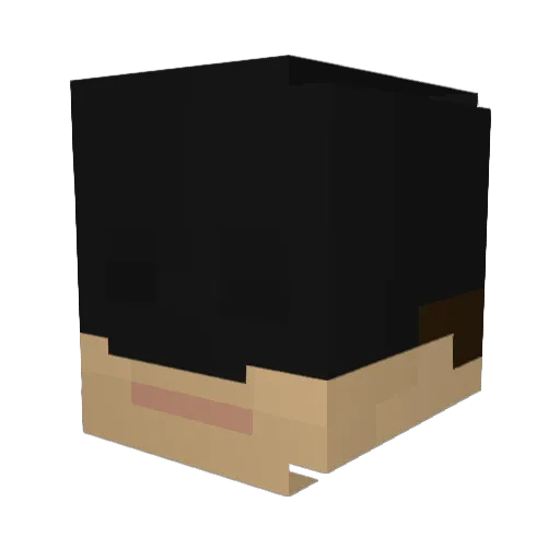 BoysenBoss Minecraft avatar head, 3D render