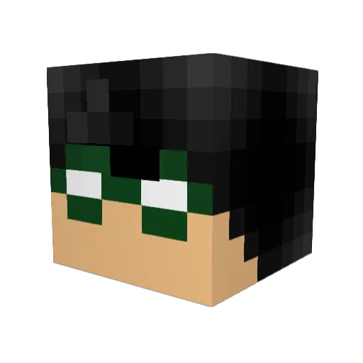 Boywonder22 Minecraft avatar head, 3D render