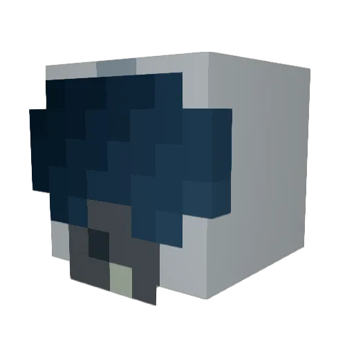 BoyzRock505 Minecraft avatar head, 3D render