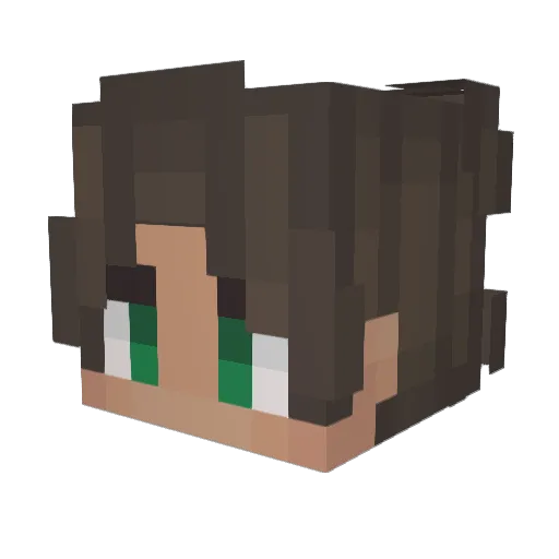 BoyzzzItsAlex Minecraft avatar head, 3D render