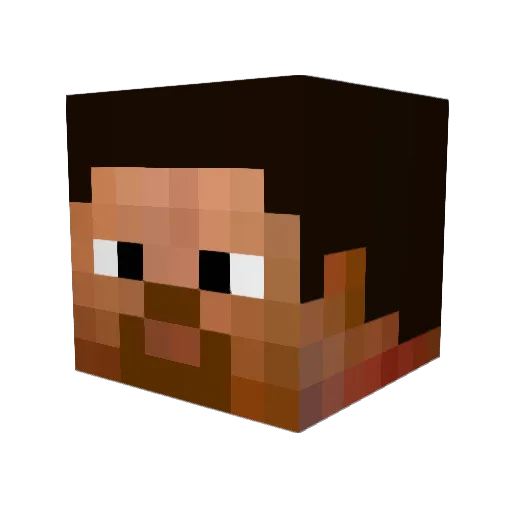 Bozak2112 Minecraft avatar head, 3D render