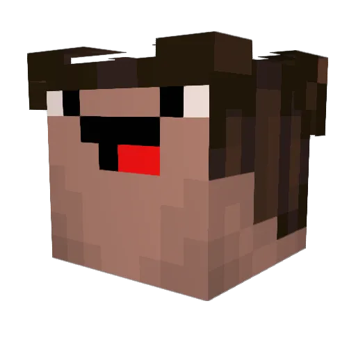 Bozanic06 Minecraft avatar head, 3D render