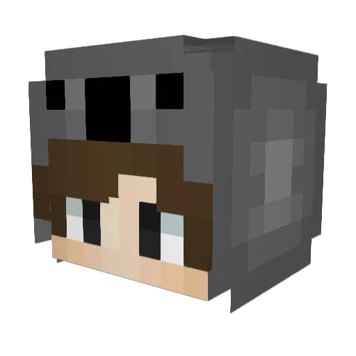 Bozer07 Minecraft avatar head, 3D render