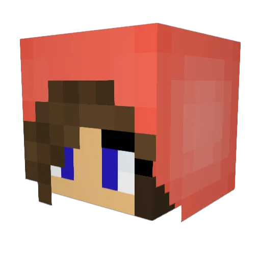 Bozman Minecraft avatar head, 3D render