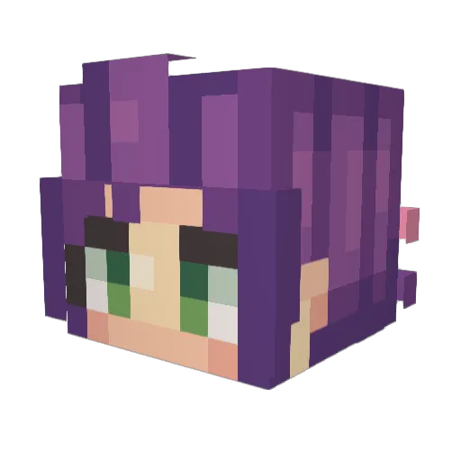 Bozolicious Minecraft avatar head, 3D render