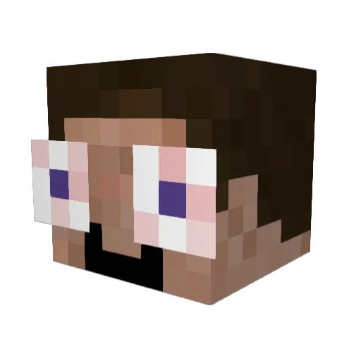 Bozophobic Minecraft avatar head, 3D render