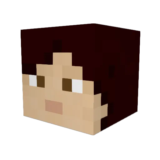 Bozsketch Minecraft avatar head, 3D render