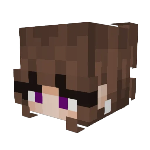 Bp_39 Minecraft avatar head, 3D render