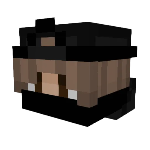 Bpro000 Minecraft avatar head, 3D render
