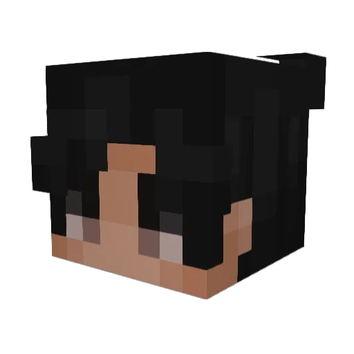 BqbyDucky Minecraft avatar head, 3D render
