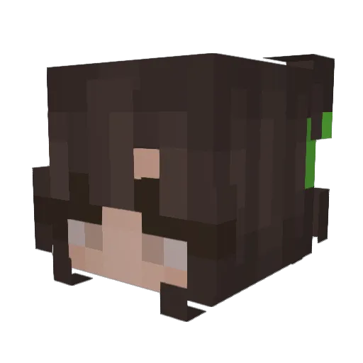 BqckOff Minecraft avatar head, 3D render