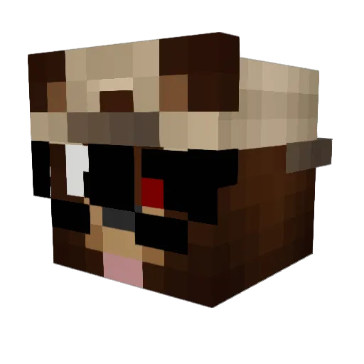 BqnUHC Minecraft avatar head, 3D render
