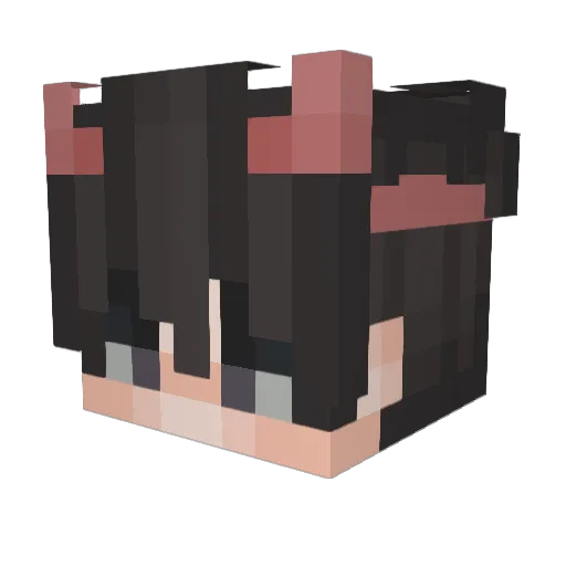 Br0Pro Minecraft avatar head, 3D render
