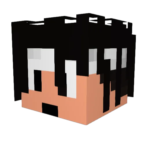 Br0ke138 Minecraft avatar head, 3D render