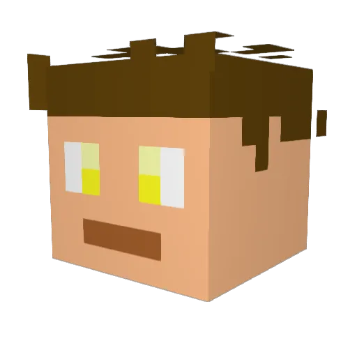 Br0kenWing Minecraft avatar head, 3D render