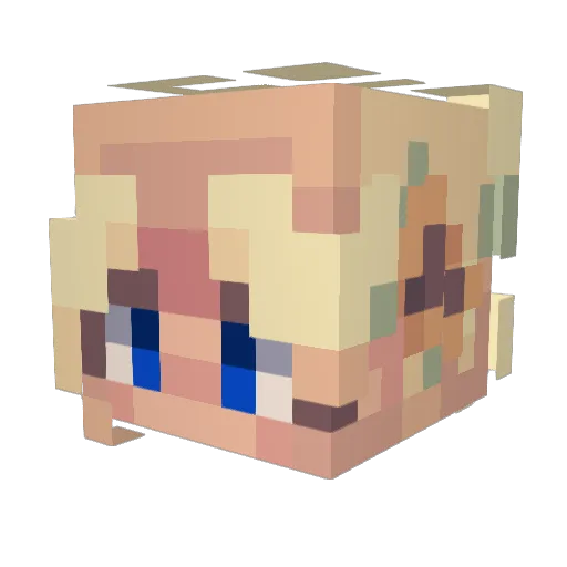 Br0moS3xual Minecraft avatar head, 3D render