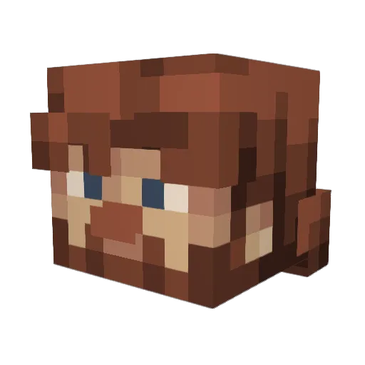 Br0th3rs4Lif3 Minecraft avatar head, 3D render