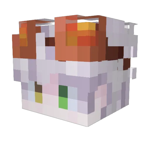 Br4Kim Minecraft avatar head, 3D render