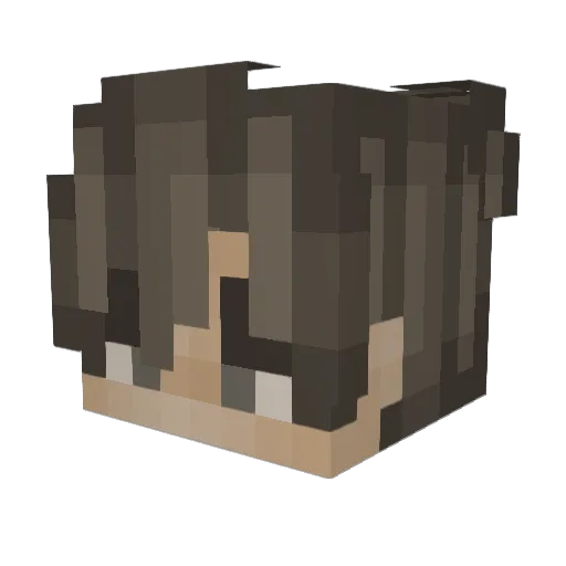 Br4dock_ Minecraft avatar head, 3D render
