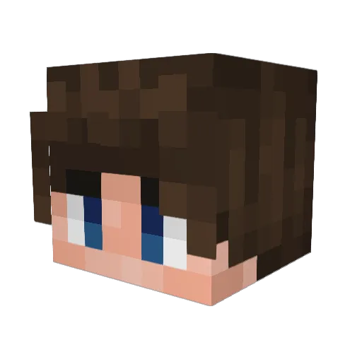 BrEjK04 Minecraft avatar head, 3D render