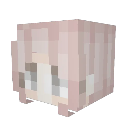 BrEnDaYaNeZ Minecraft avatar head, 3D render